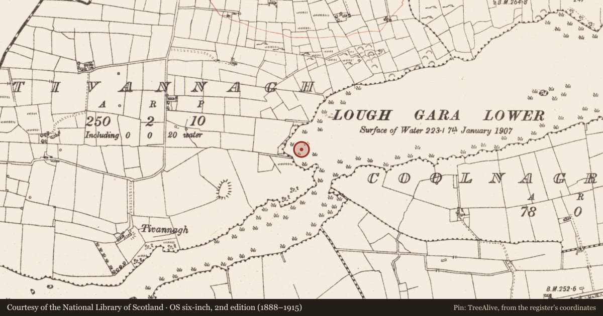 Ordnance Survey six-inch map, 2nd edition (1888–1915) covering the location of Settlement platform, Lough Gara, County Roscommon, with a pin at the register's coordinates