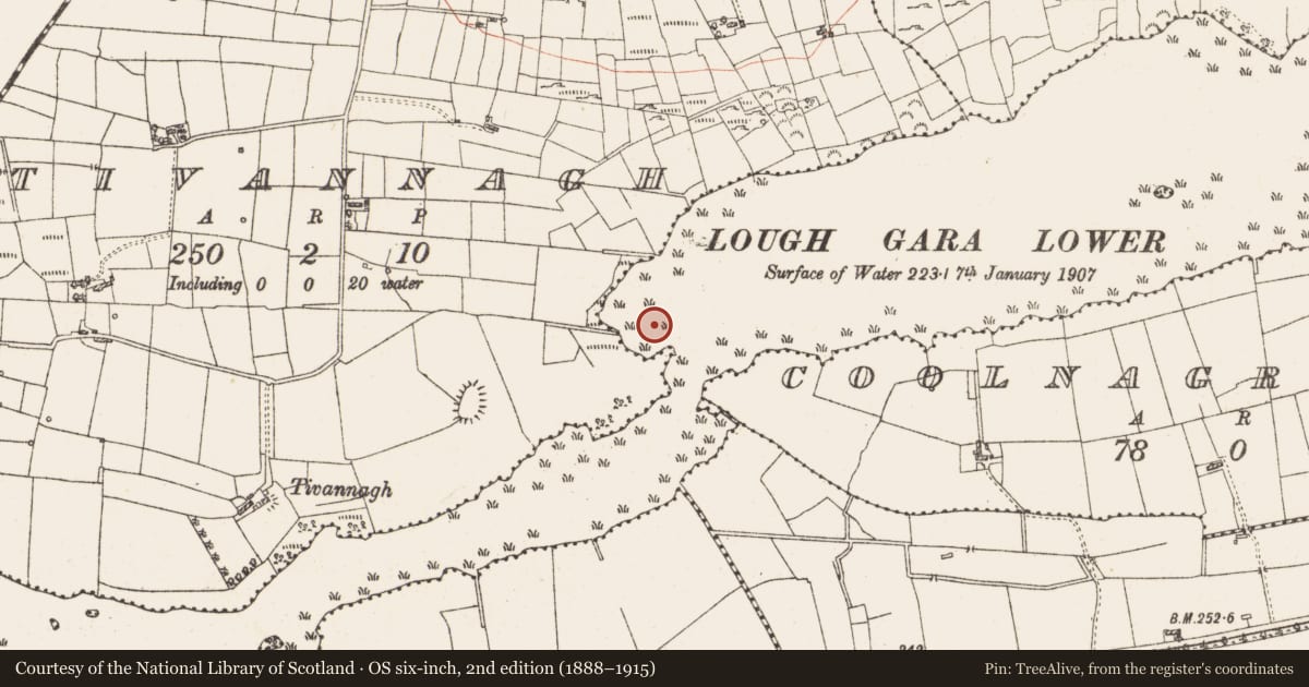 Ordnance Survey six-inch map, 2nd edition (1888–1915) covering the location of Settlement platform, Lough Gara, County Roscommon, with a pin at the register's coordinates
