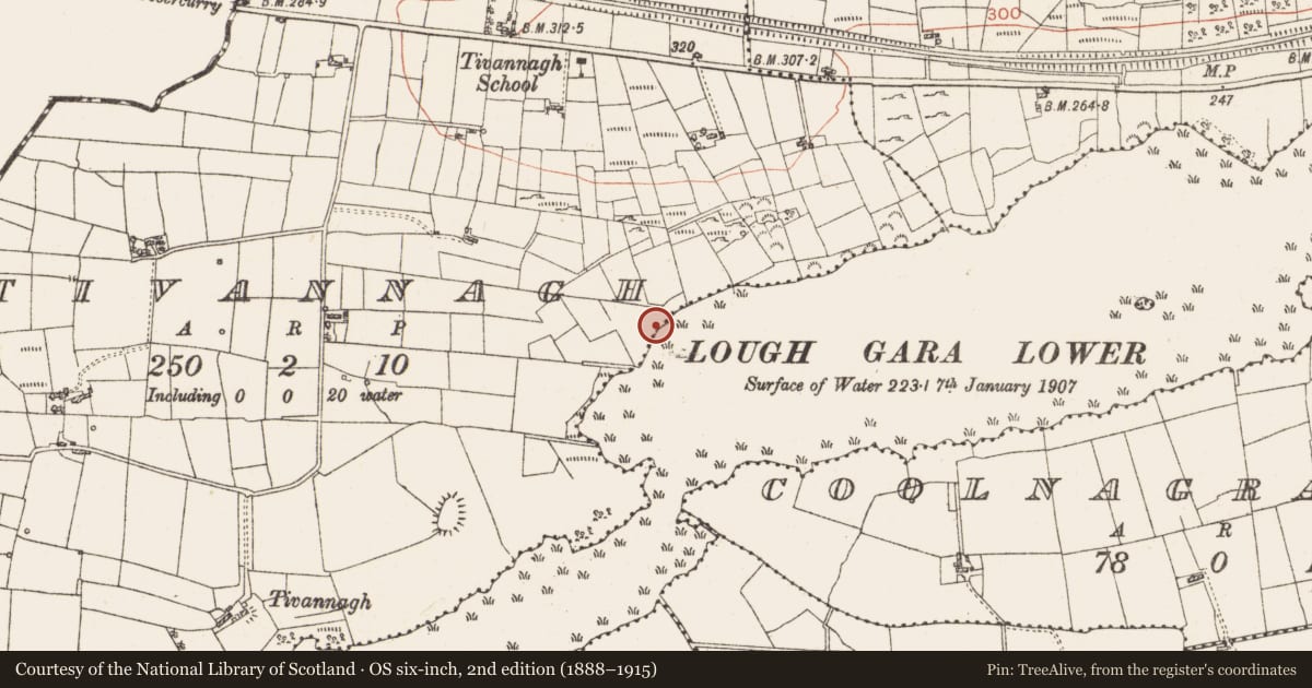 Ordnance Survey six-inch map, 2nd edition (1888–1915) covering the location of Settlement platform, Lough Gara, County Roscommon, with a pin at the register's coordinates