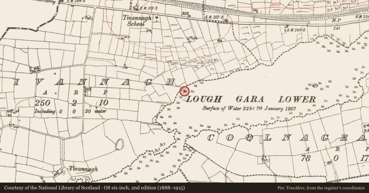 Ordnance Survey six-inch map, 2nd edition (1888–1915) covering the location of Settlement platform, Lough Gara, County Roscommon, with a pin at the register's coordinates