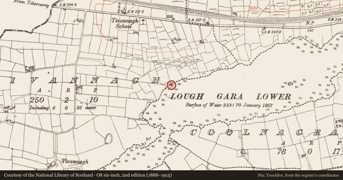 Ordnance Survey six-inch map, 2nd edition (1888–1915) covering the location of Settlement platform, Lough Gara, County Roscommon, with a pin at the register's coordinates