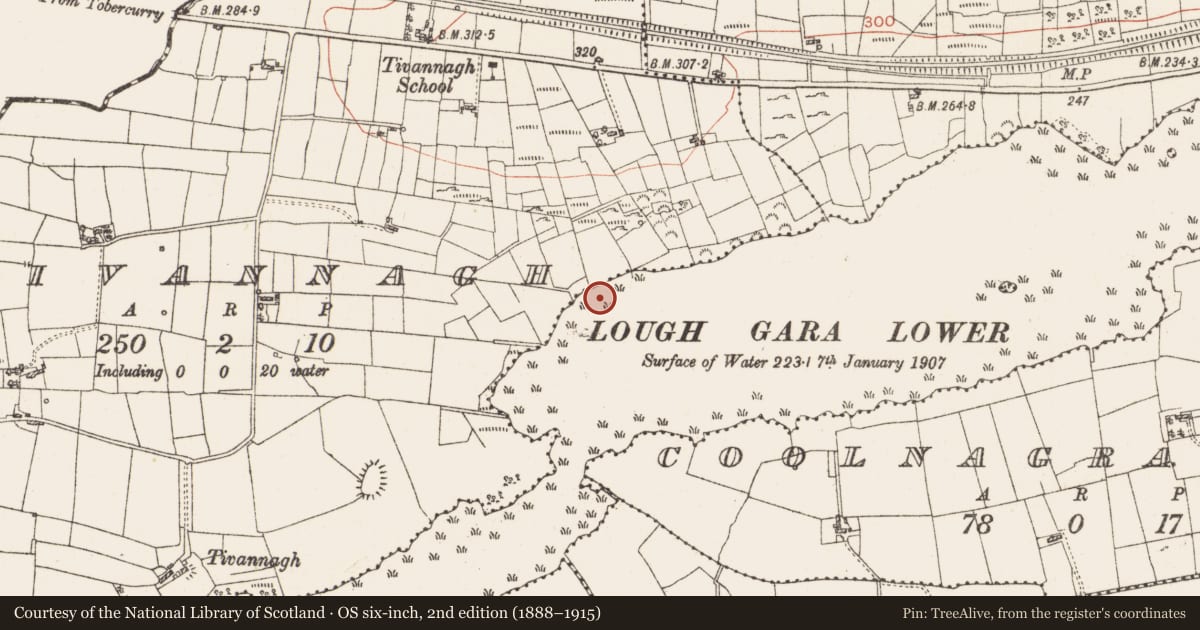 Ordnance Survey six-inch map, 2nd edition (1888–1915) covering the location of Settlement platform, Lough Gara, County Roscommon, with a pin at the register's coordinates