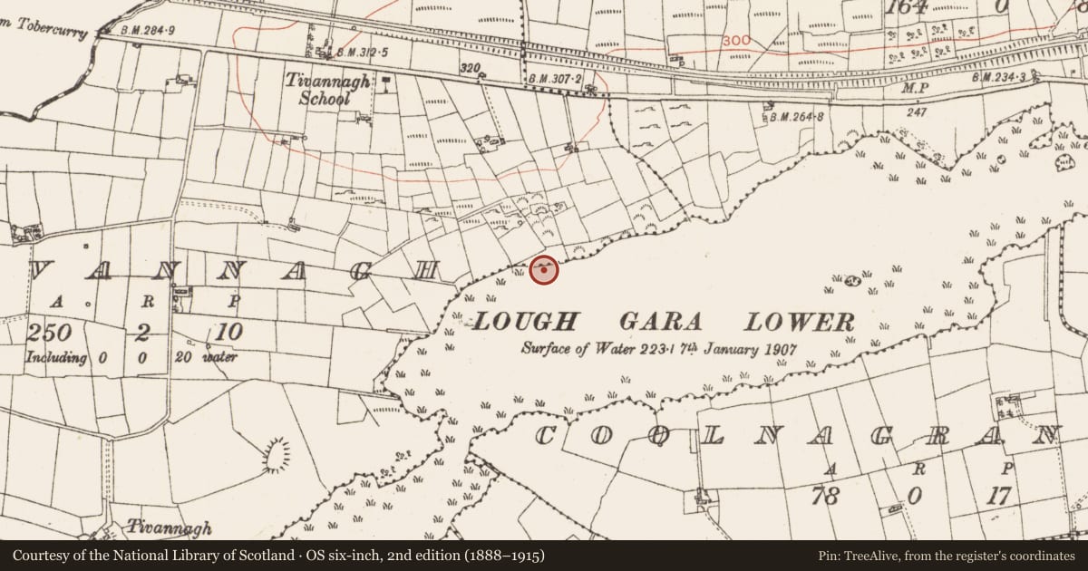 Ordnance Survey six-inch map, 2nd edition (1888–1915) covering the location of Settlement platform, Lough Gara, County Roscommon, with a pin at the register's coordinates