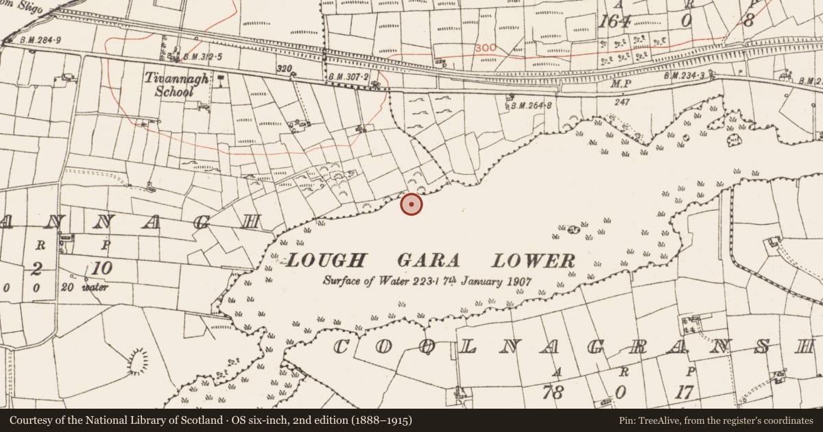 Ordnance Survey six-inch map, 2nd edition (1888–1915) covering the location of Settlement platform, Lough Gara, County Roscommon, with a pin at the register's coordinates