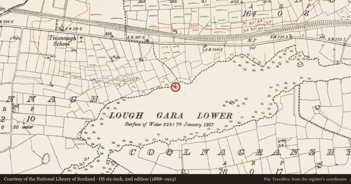 Ordnance Survey six-inch map, 2nd edition (1888–1915) covering the location of Settlement platform, Lough Gara, County Roscommon, with a pin at the register's coordinates