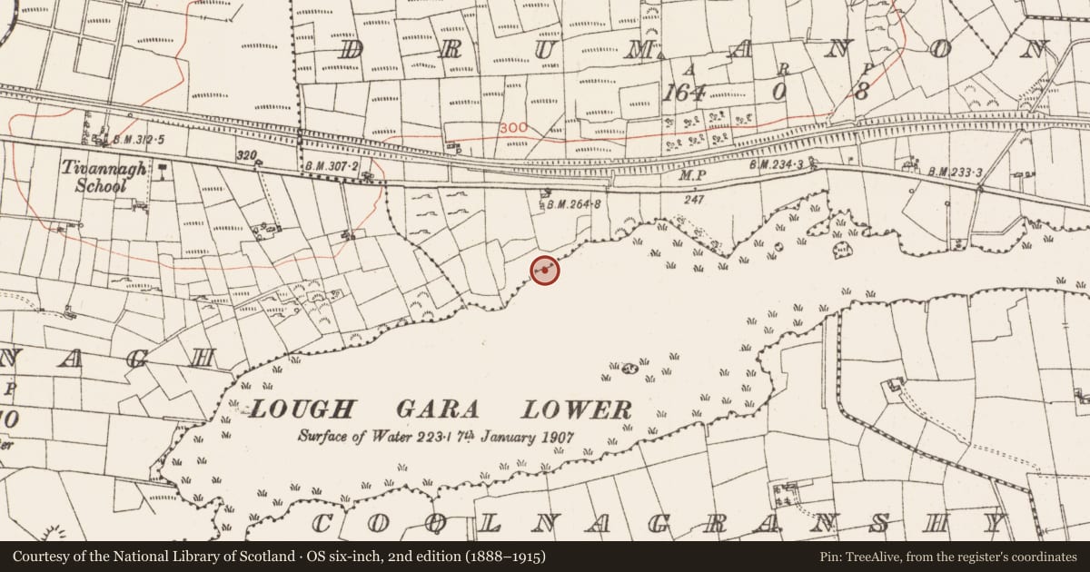 Ordnance Survey six-inch map, 2nd edition (1888–1915) covering the location of Settlement platform, Lough Gara, County Roscommon, with a pin at the register's coordinates