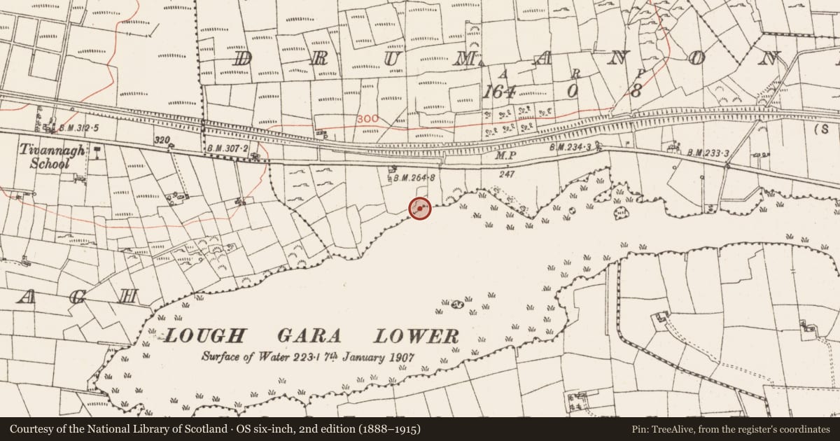 Ordnance Survey six-inch map, 2nd edition (1888–1915) covering the location of Settlement platform, Lough Gara, County Roscommon, with a pin at the register's coordinates