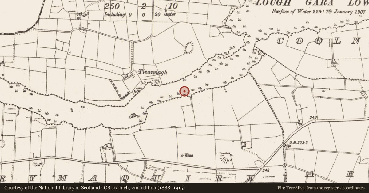Ordnance Survey six-inch map, 2nd edition (1888–1915) covering the location of Settlement platform, Lough Gara, County Roscommon, with a pin at the register's coordinates