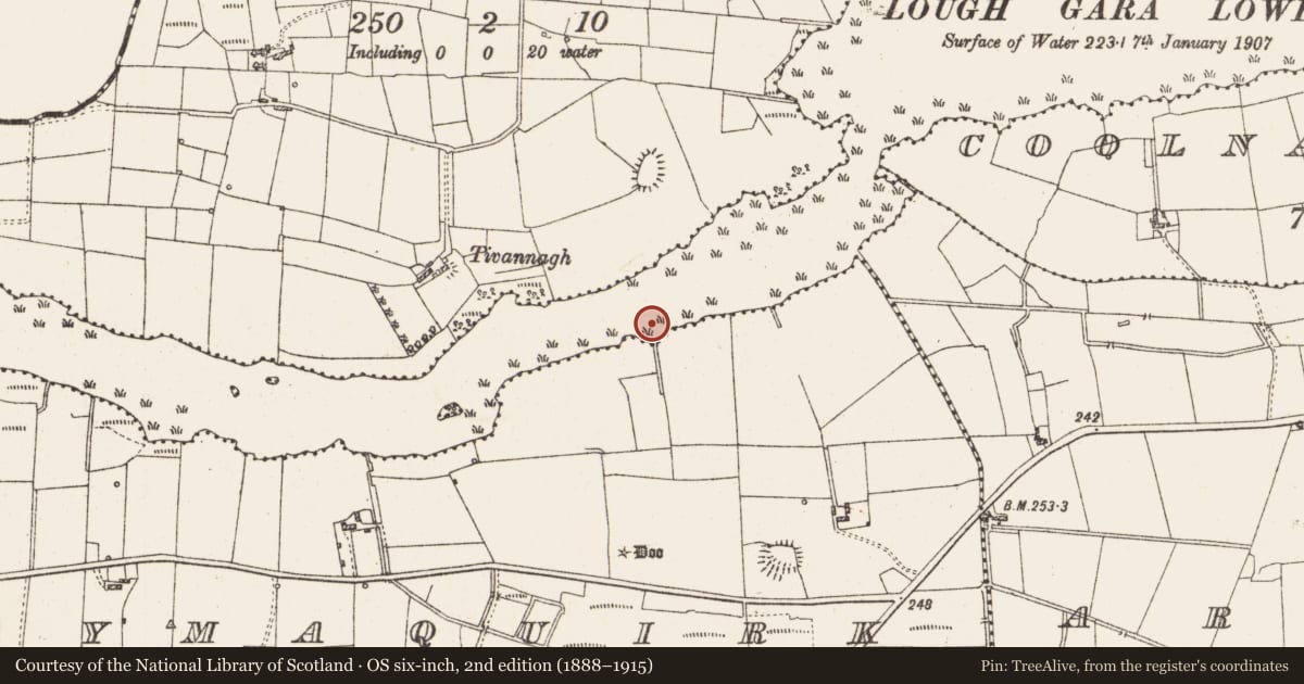 Ordnance Survey six-inch map, 2nd edition (1888–1915) covering the location of Settlement platform, Lough Gara, County Roscommon, with a pin at the register's coordinates