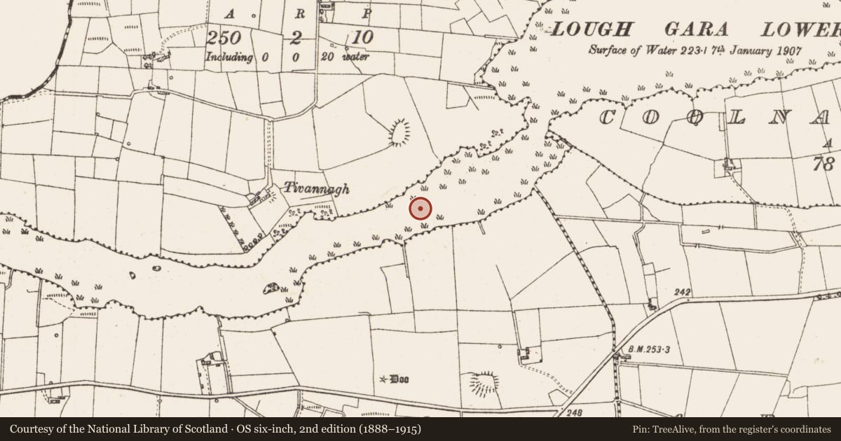 Ordnance Survey six-inch map, 2nd edition (1888–1915) covering the location of Settlement platform, Lough Gara, County Roscommon, with a pin at the register's coordinates