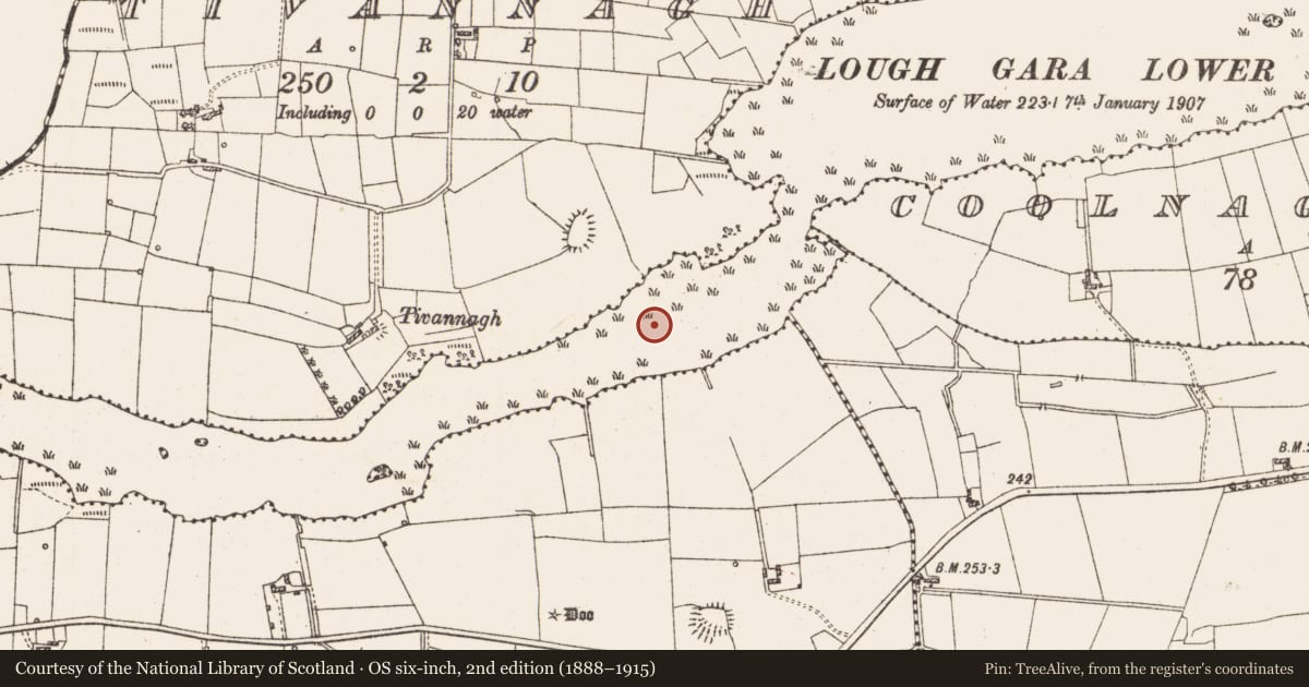 Ordnance Survey six-inch map, 2nd edition (1888–1915) covering the location of Settlement platform, Lough Gara, County Roscommon, with a pin at the register's coordinates