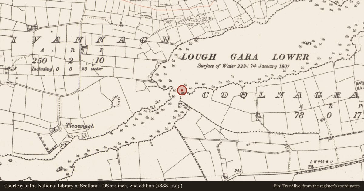 Ordnance Survey six-inch map, 2nd edition (1888–1915) covering the location of Settlement platform, Lough Gara, County Roscommon, with a pin at the register's coordinates
