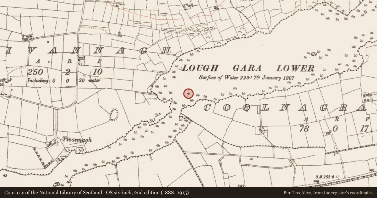 Ordnance Survey six-inch map, 2nd edition (1888–1915) covering the location of Platform - peatland, Lough Gara, County Roscommon, with a pin at the register's coordinates