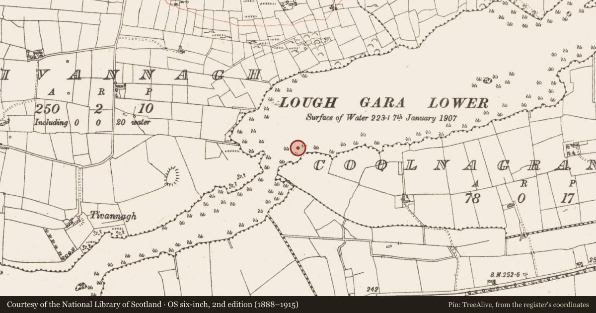 Ordnance Survey six-inch map, 2nd edition (1888–1915) covering the location of Settlement platform, Lough Gara, County Roscommon, with a pin at the register's coordinates