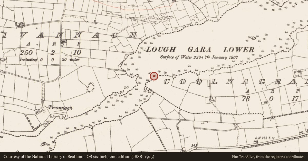 Ordnance Survey six-inch map, 2nd edition (1888–1915) covering the location of Settlement platform, Lough Gara, County Roscommon, with a pin at the register's coordinates