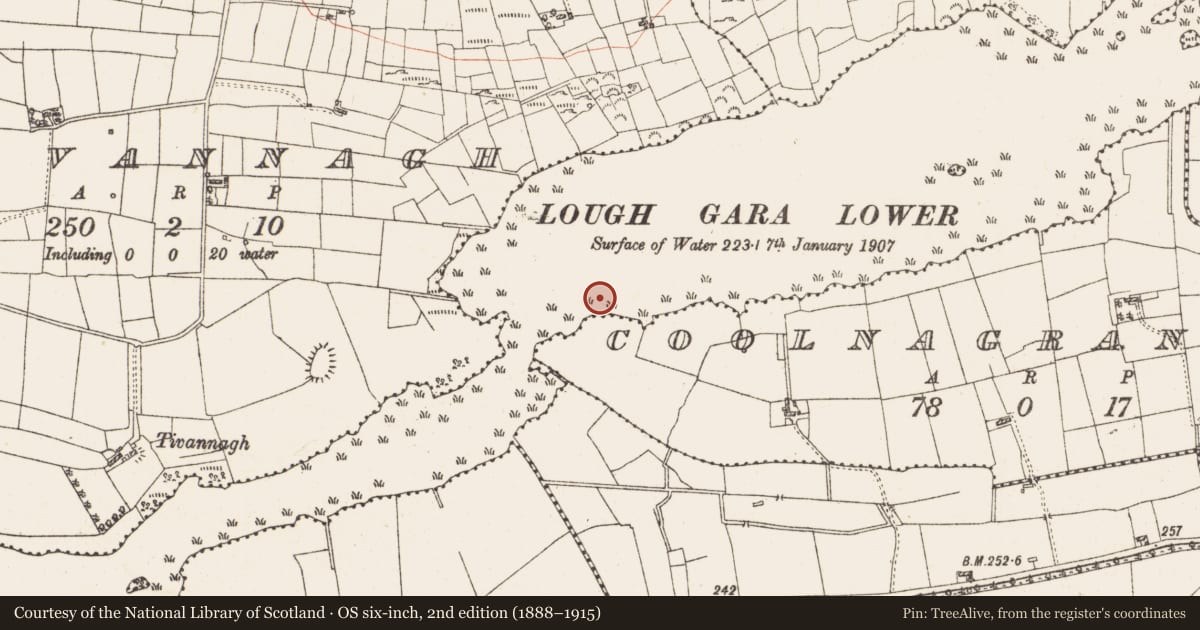 Ordnance Survey six-inch map, 2nd edition (1888–1915) covering the location of Settlement platform, Lough Gara, County Roscommon, with a pin at the register's coordinates