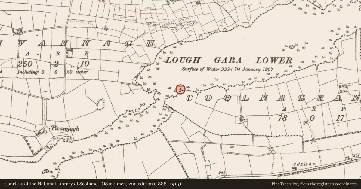 Ordnance Survey six-inch map, 2nd edition (1888–1915) covering the location of Crannog, Lough Gara, County Roscommon, with a pin at the register's coordinates