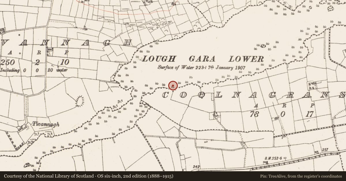 Ordnance Survey six-inch map, 2nd edition (1888–1915) covering the location of Settlement platform, Lough Gara, County Roscommon, with a pin at the register's coordinates