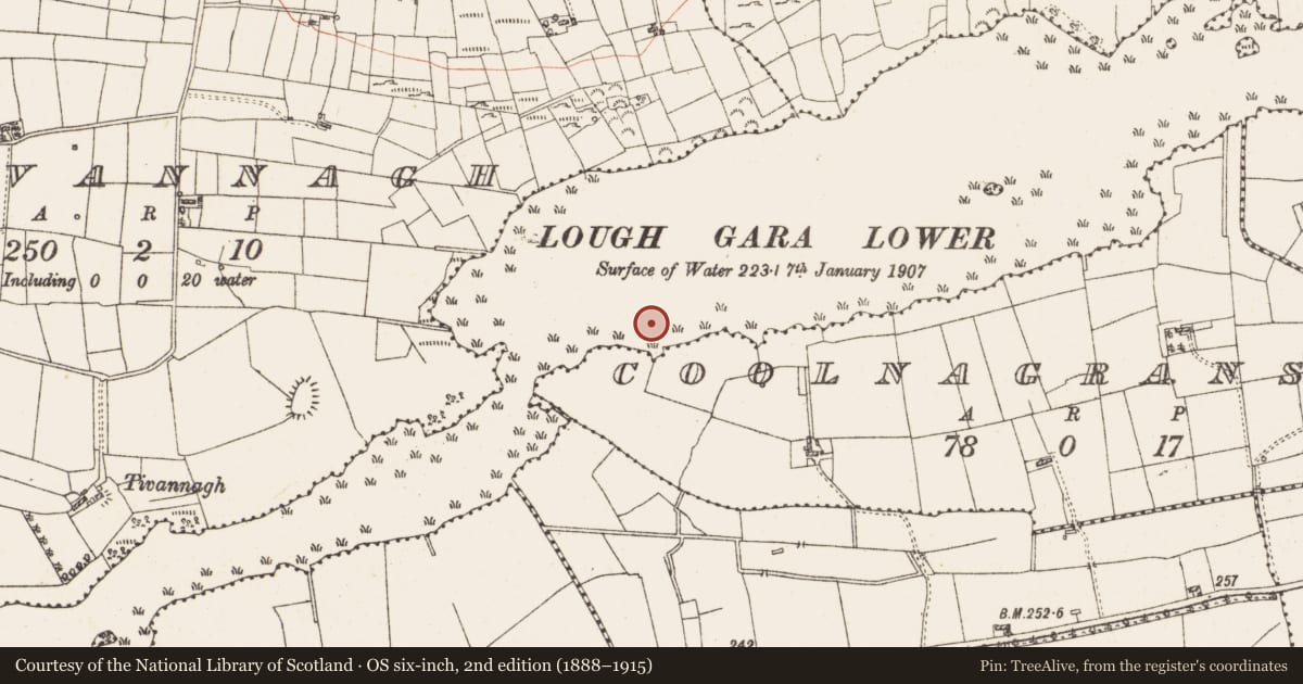 Ordnance Survey six-inch map, 2nd edition (1888–1915) covering the location of Settlement platform, Lough Gara, County Roscommon, with a pin at the register's coordinates