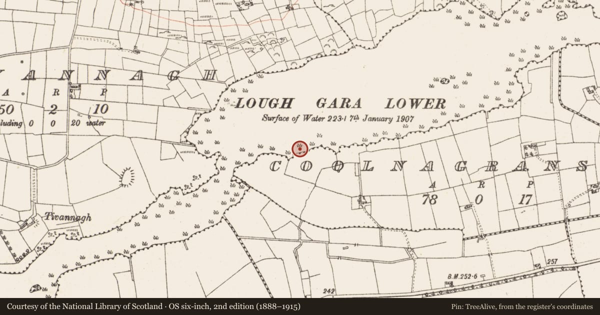 Ordnance Survey six-inch map, 2nd edition (1888–1915) covering the location of Settlement platform, Lough Gara, County Roscommon, with a pin at the register's coordinates