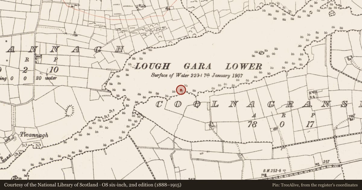 Ordnance Survey six-inch map, 2nd edition (1888–1915) covering the location of Settlement platform, Lough Gara, County Roscommon, with a pin at the register's coordinates