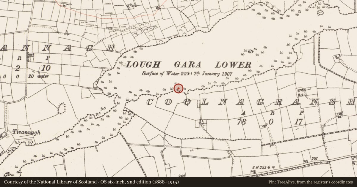 Ordnance Survey six-inch map, 2nd edition (1888–1915) covering the location of Settlement platform, Lough Gara, County Roscommon, with a pin at the register's coordinates