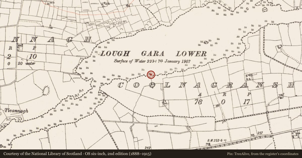 Ordnance Survey six-inch map, 2nd edition (1888–1915) covering the location of Settlement platform, Lough Gara, County Roscommon, with a pin at the register's coordinates