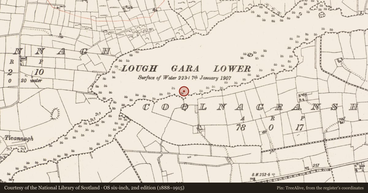 Ordnance Survey six-inch map, 2nd edition (1888–1915) covering the location of Settlement platform, Lough Gara, County Roscommon, with a pin at the register's coordinates