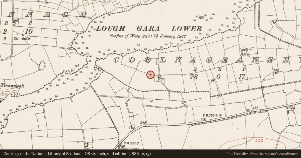 Ordnance Survey six-inch map, 2nd edition (1888–1915) covering the location of Graveyard, Coolnagranshy, County Roscommon, with a pin at the register's coordinates