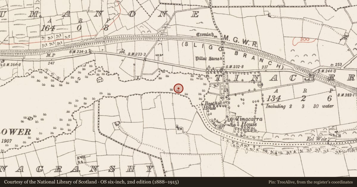 Ordnance Survey six-inch map, 2nd edition (1888–1915) covering the location of Settlement platform, Lough Gara, County Roscommon, with a pin at the register's coordinates