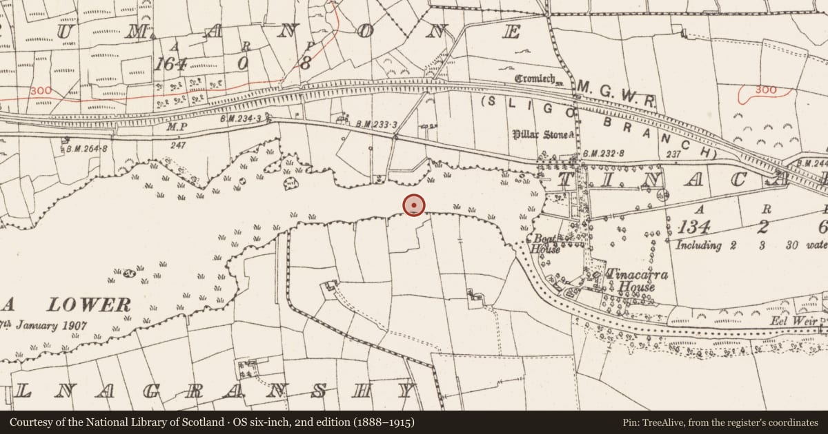 Ordnance Survey six-inch map, 2nd edition (1888–1915) covering the location of Settlement platform, Lough Gara, County Roscommon, with a pin at the register's coordinates