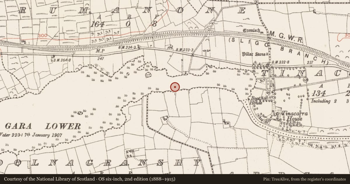 Ordnance Survey six-inch map, 2nd edition (1888–1915) covering the location of Settlement platform, Lough Gara, County Roscommon, with a pin at the register's coordinates