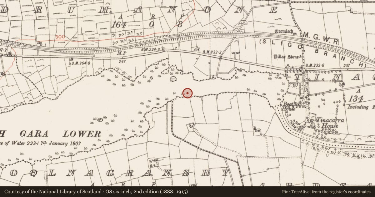 Ordnance Survey six-inch map, 2nd edition (1888–1915) covering the location of Crannog, Lough Gara, County Roscommon, with a pin at the register's coordinates