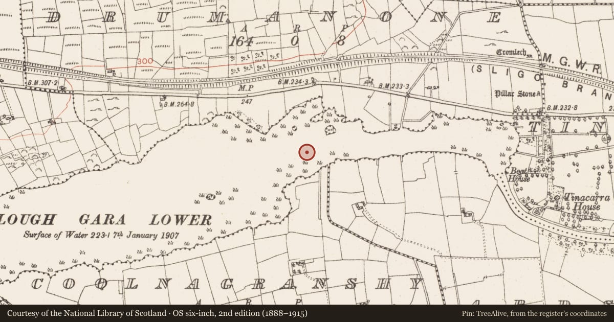 Ordnance Survey six-inch map, 2nd edition (1888–1915) covering the location of Settlement platform, Lough Gara, County Roscommon, with a pin at the register's coordinates