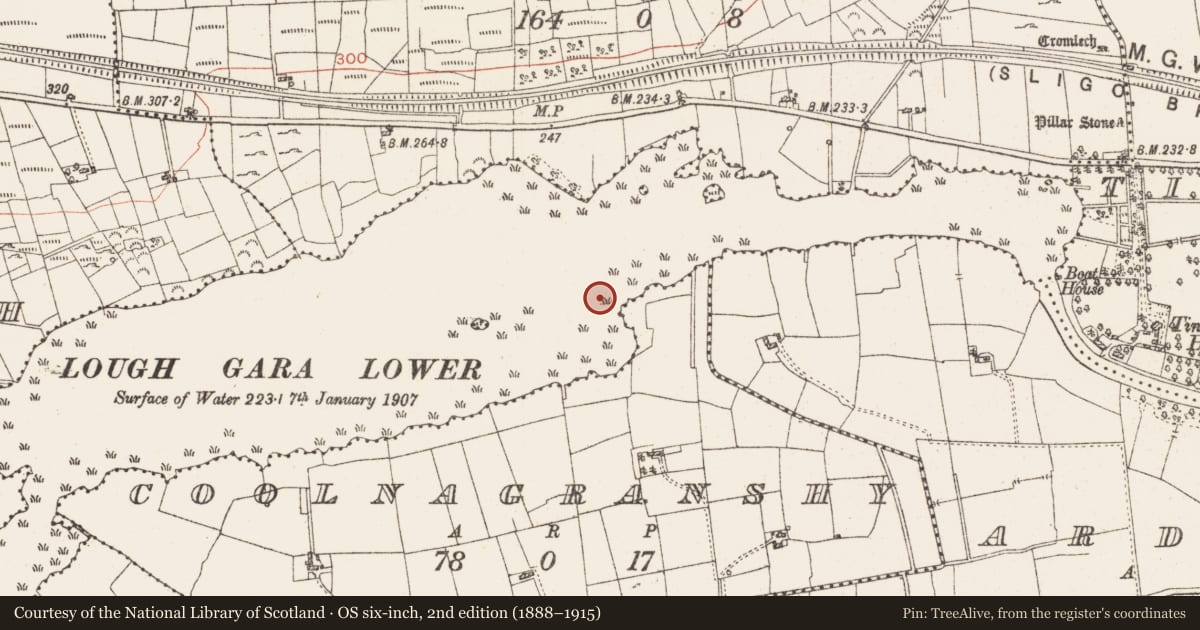 Ordnance Survey six-inch map, 2nd edition (1888–1915) covering the location of Settlement platform, Lough Gara, County Roscommon, with a pin at the register's coordinates