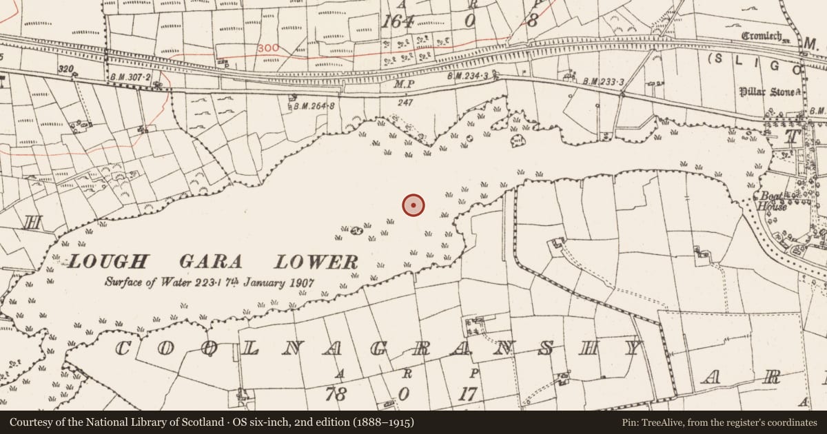 Ordnance Survey six-inch map, 2nd edition (1888–1915) covering the location of Settlement platform, Lough Gara, County Roscommon, with a pin at the register's coordinates