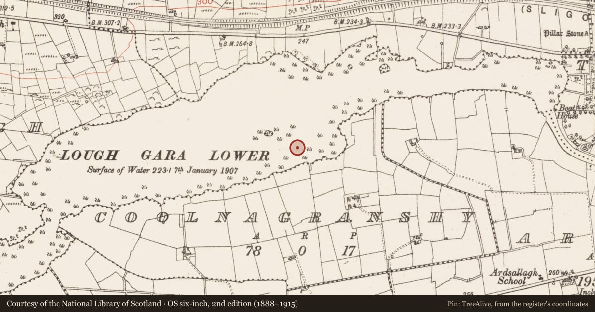 Ordnance Survey six-inch map, 2nd edition (1888–1915) covering the location of Settlement platform, Lough Gara, County Roscommon, with a pin at the register's coordinates