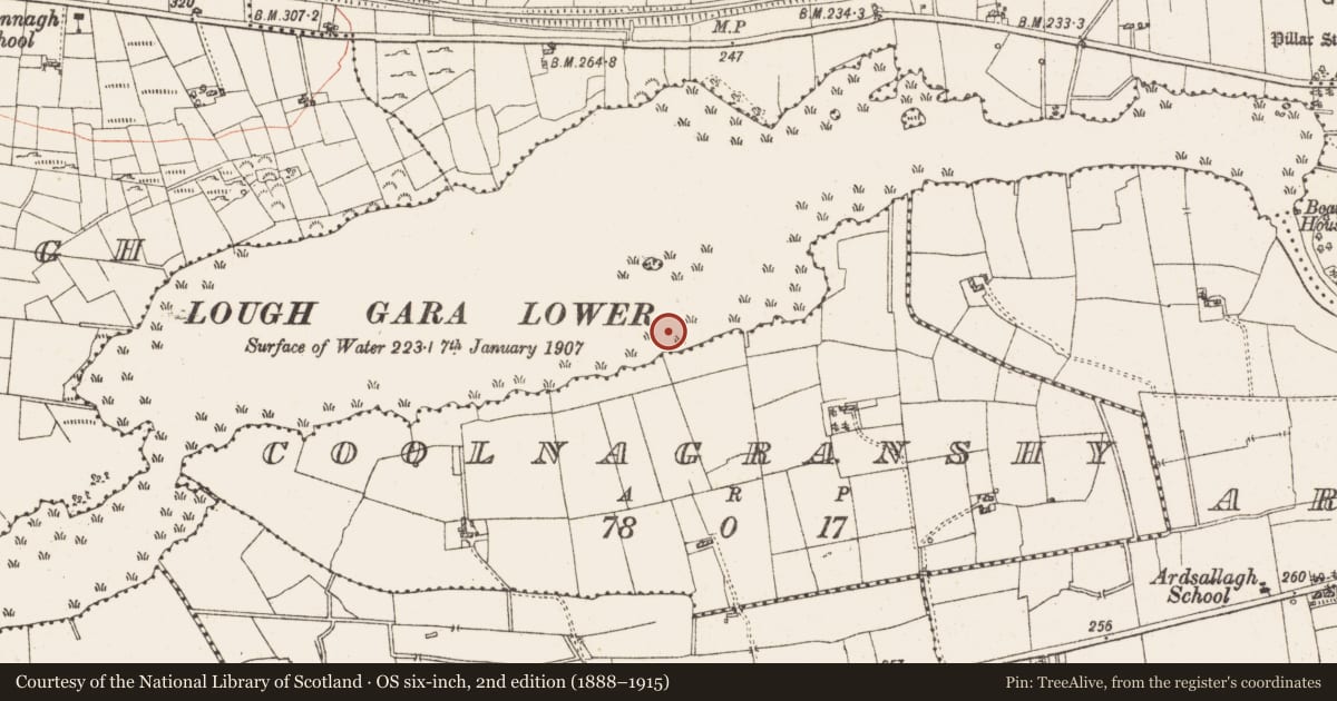 Ordnance Survey six-inch map, 2nd edition (1888–1915) covering the location of Settlement platform, Lough Gara, County Roscommon, with a pin at the register's coordinates