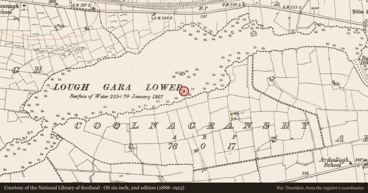 Ordnance Survey six-inch map, 2nd edition (1888–1915) covering the location of Settlement platform, Lough Gara, County Roscommon, with a pin at the register's coordinates