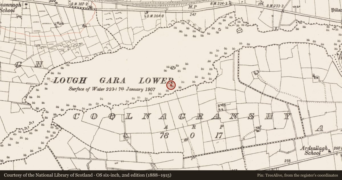 Ordnance Survey six-inch map, 2nd edition (1888–1915) covering the location of Settlement platform, Lough Gara, County Roscommon, with a pin at the register's coordinates