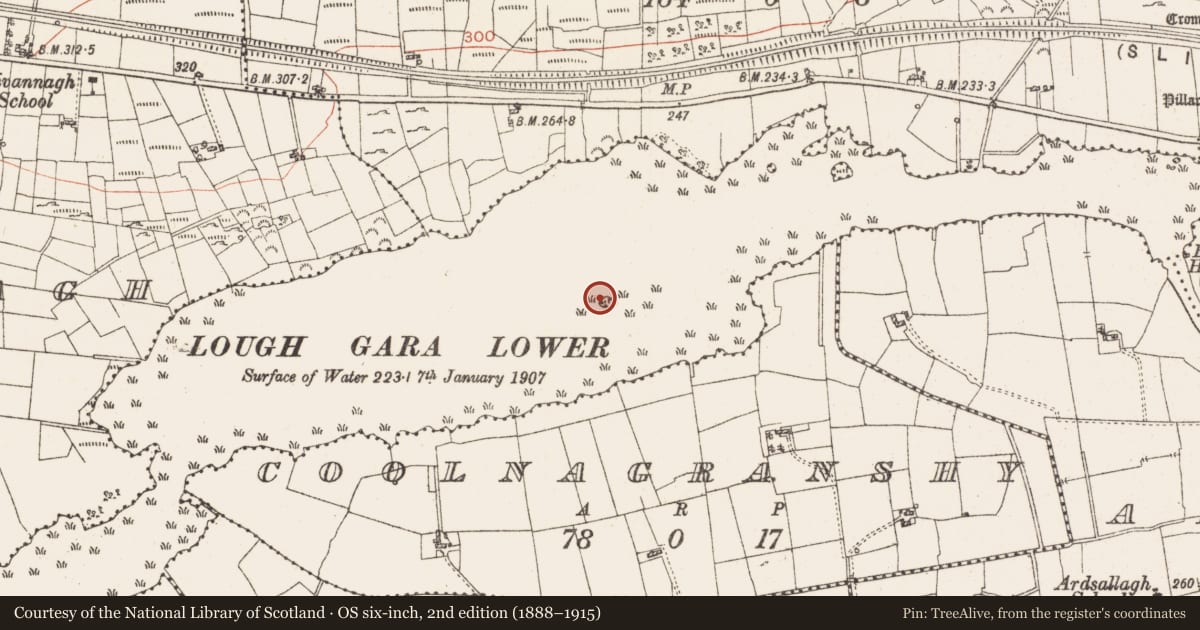 Ordnance Survey six-inch map, 2nd edition (1888–1915) covering the location of Crannog, Lough Gara, County Roscommon, with a pin at the register's coordinates