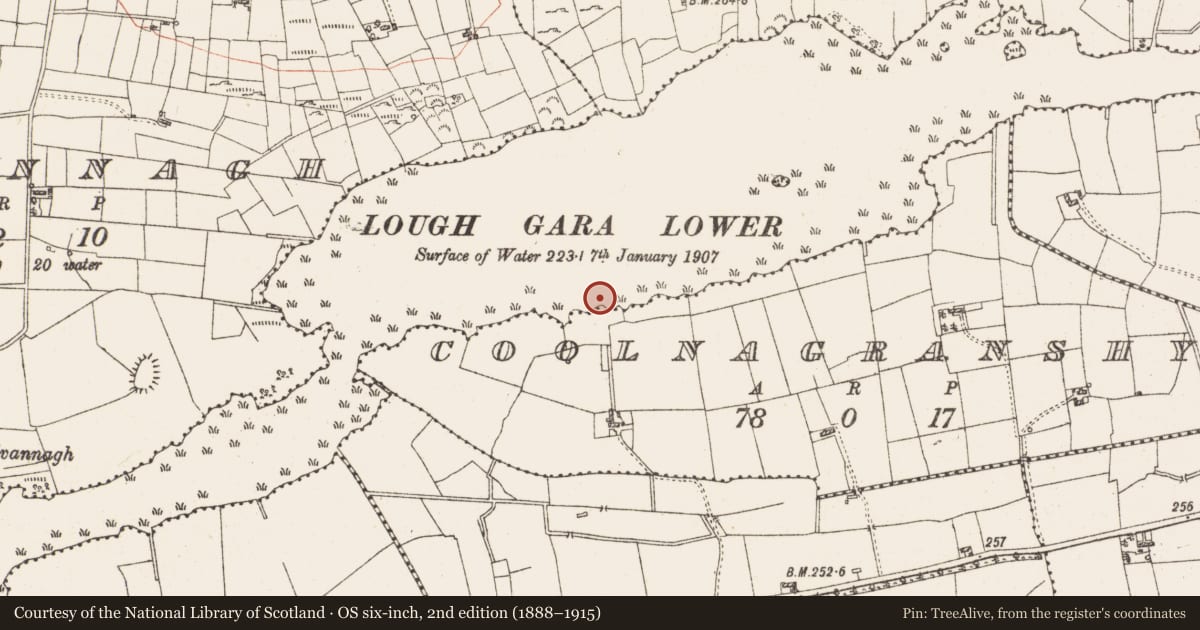 Ordnance Survey six-inch map, 2nd edition (1888–1915) covering the location of Settlement platform, Lough Gara, County Roscommon, with a pin at the register's coordinates