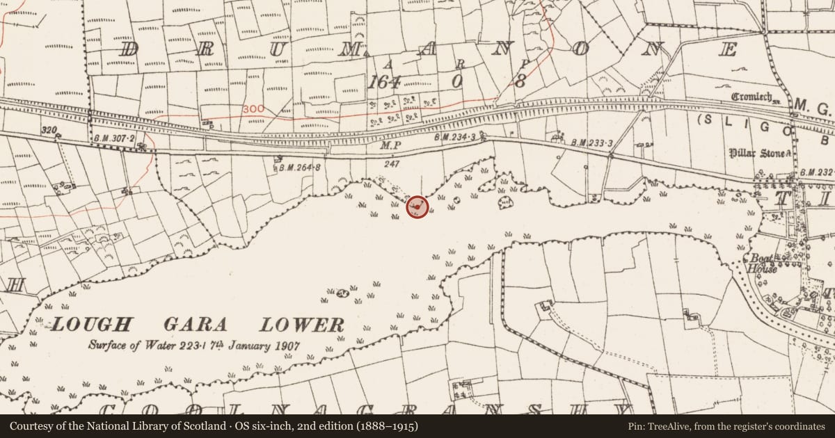 Ordnance Survey six-inch map, 2nd edition (1888–1915) covering the location of Crannog, Lough Gara, County Roscommon, with a pin at the register's coordinates