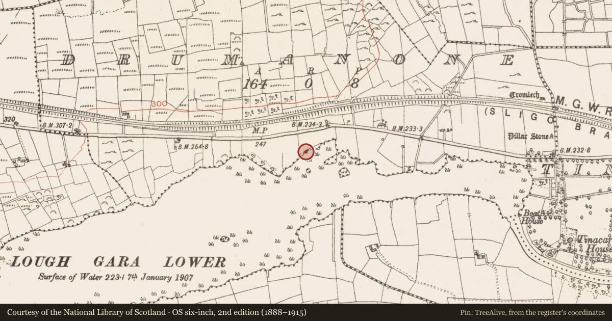 Ordnance Survey six-inch map, 2nd edition (1888–1915) covering the location of Settlement platform, Lough Gara, County Roscommon, with a pin at the register's coordinates