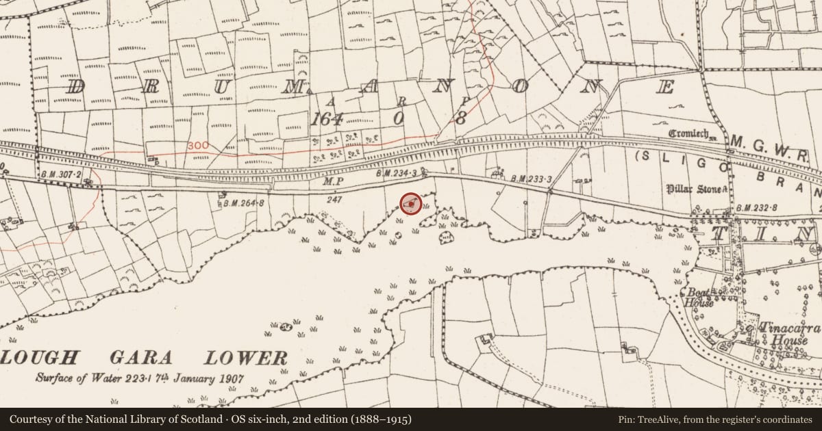 Ordnance Survey six-inch map, 2nd edition (1888–1915) covering the location of Settlement platform, Lough Gara, County Roscommon, with a pin at the register's coordinates