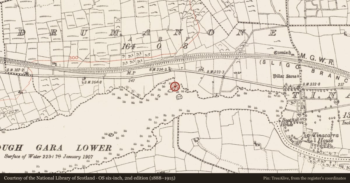 Ordnance Survey six-inch map, 2nd edition (1888–1915) covering the location of Settlement platform, Lough Gara, County Roscommon, with a pin at the register's coordinates