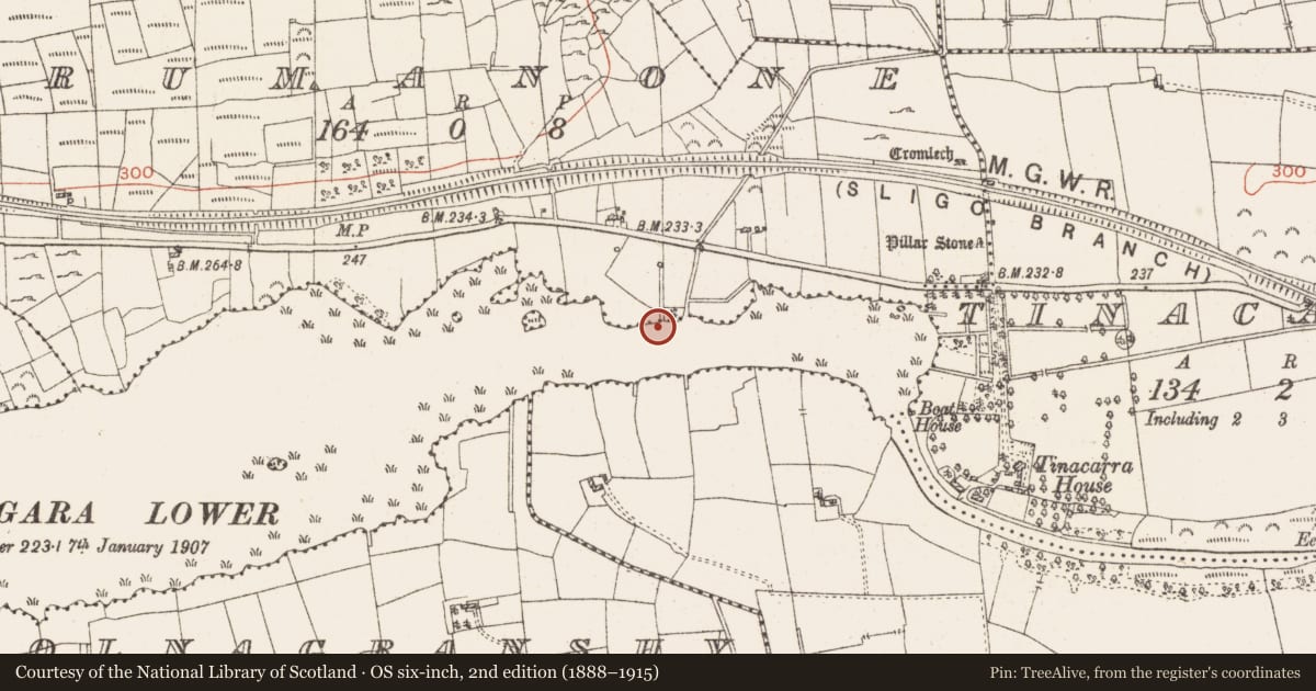Ordnance Survey six-inch map, 2nd edition (1888–1915) covering the location of Settlement platform, Lough Gara, County Roscommon, with a pin at the register's coordinates