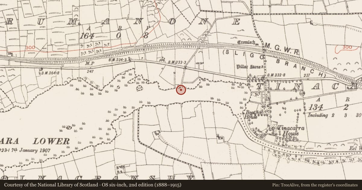Ordnance Survey six-inch map, 2nd edition (1888–1915) covering the location of Settlement platform, Lough Gara, County Roscommon, with a pin at the register's coordinates