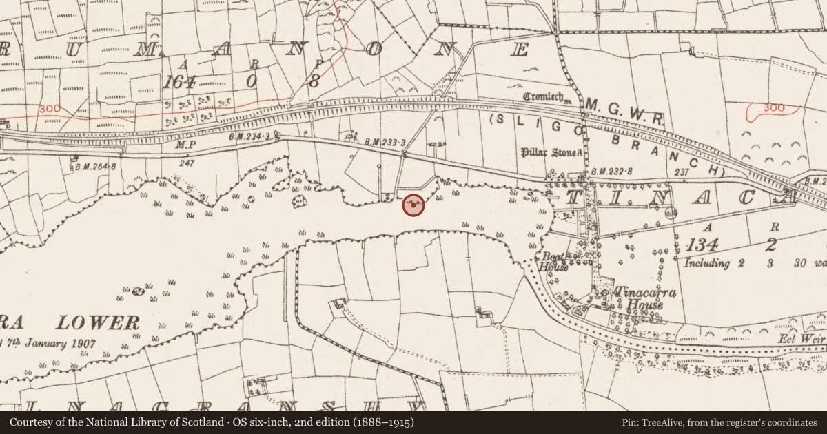 Ordnance Survey six-inch map, 2nd edition (1888–1915) covering the location of Settlement platform, Lough Gara, County Roscommon, with a pin at the register's coordinates