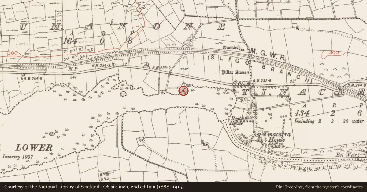 Ordnance Survey six-inch map, 2nd edition (1888–1915) covering the location of Settlement platform, Lough Gara, County Roscommon, with a pin at the register's coordinates